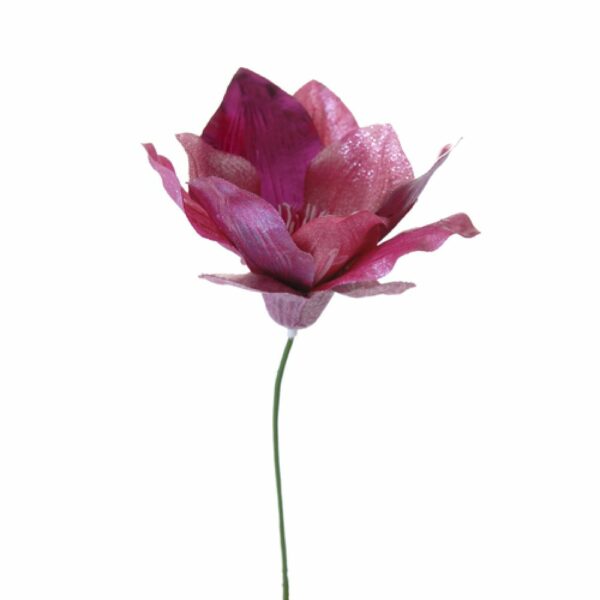 manwlia roz kladi stolismos xristougenna